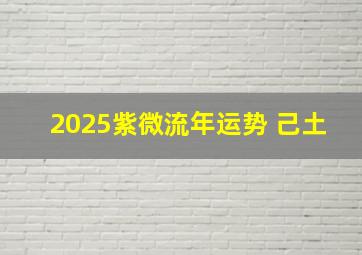 2025紫微流年运势 己土